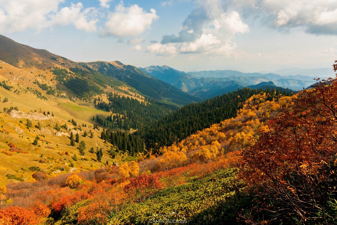 Borjomi National Park